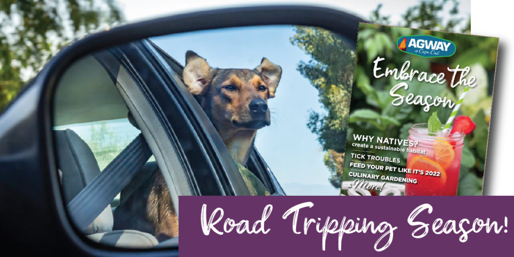 Road Tripping Season