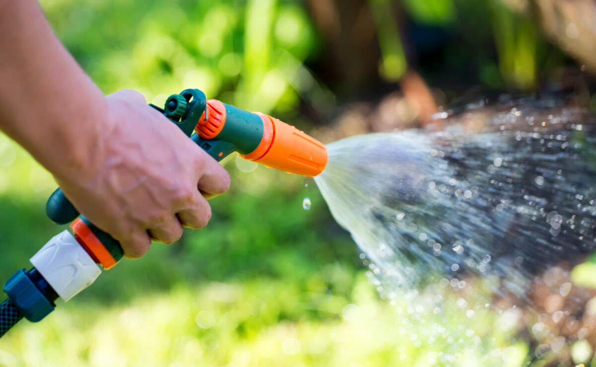 Watering your Garden 