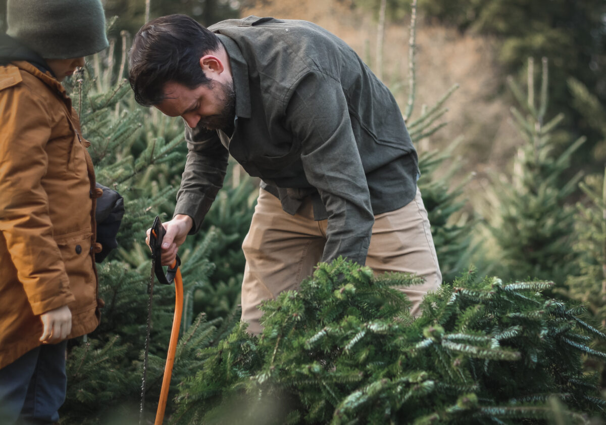 How To Prolong The Life Of Your Christmas Tree Agway of Cape Cod