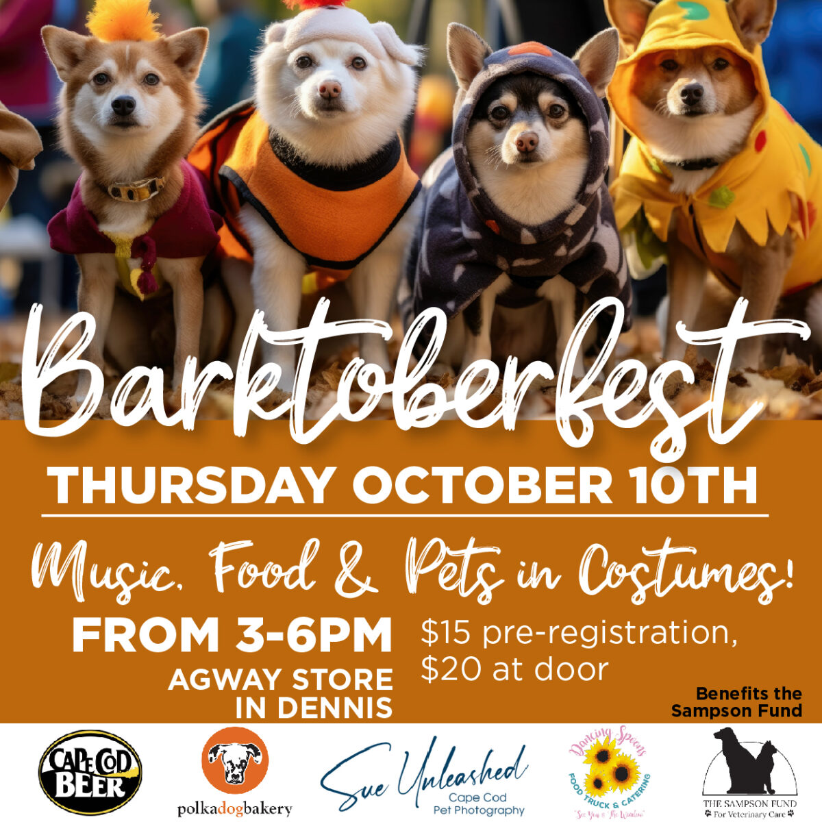 pets on cape cod during fall