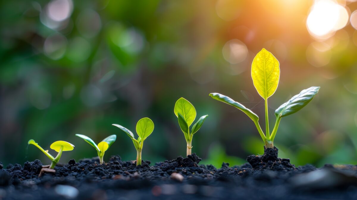 Nature and evolution