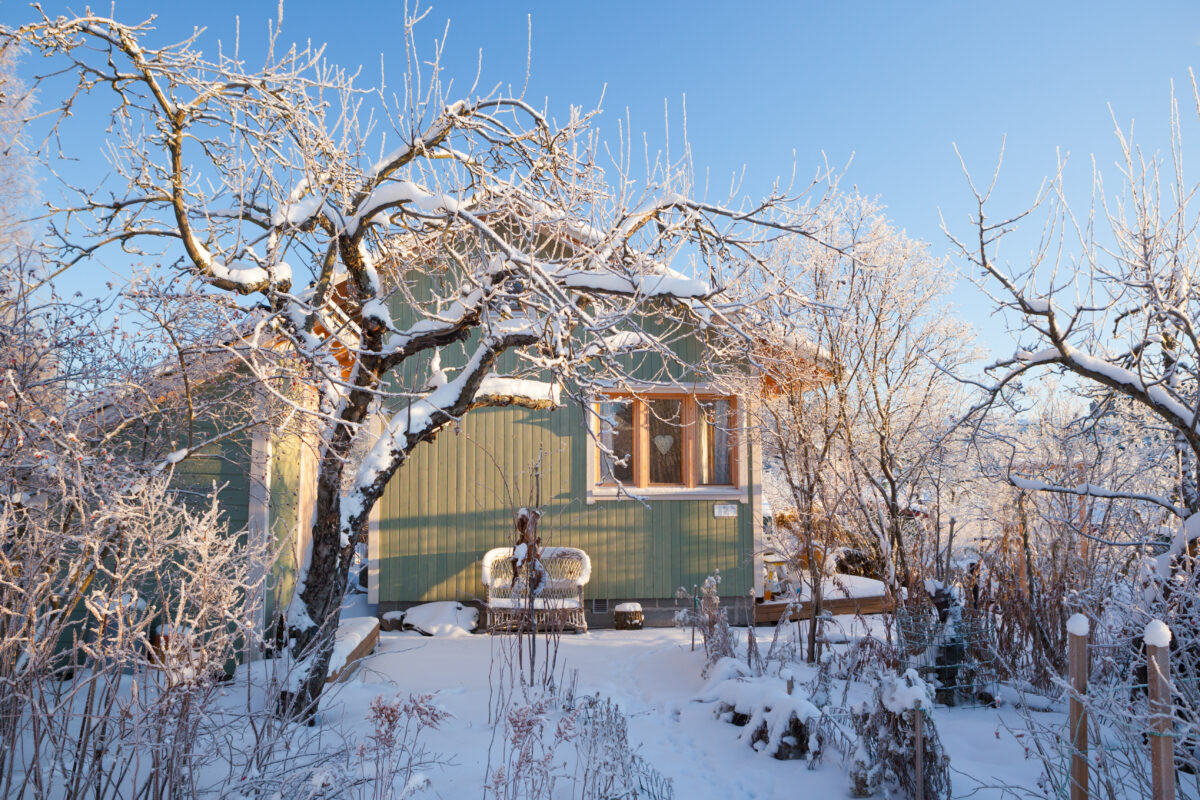 Winter Garden Cape Cod