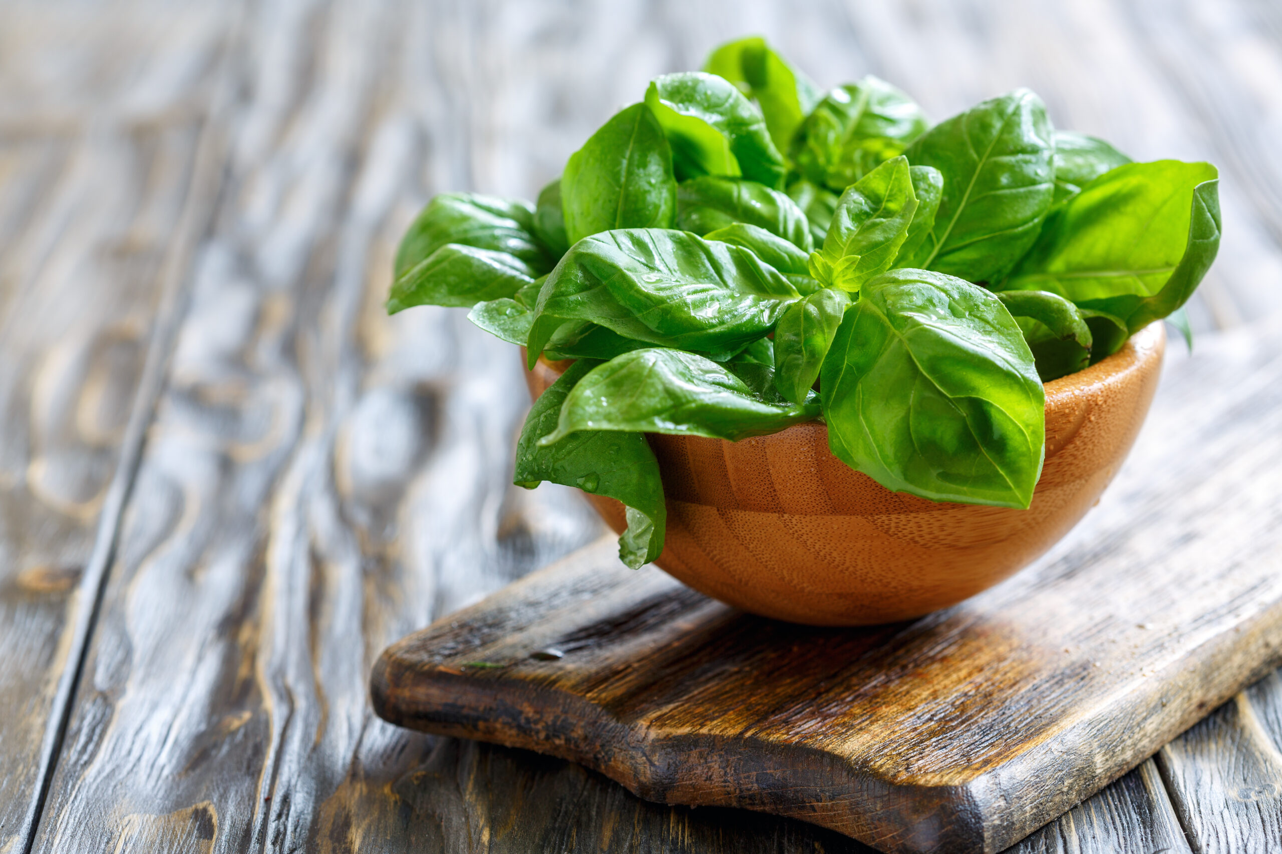 How to Grow Your Own Herbs: Easy Starts for Beginners