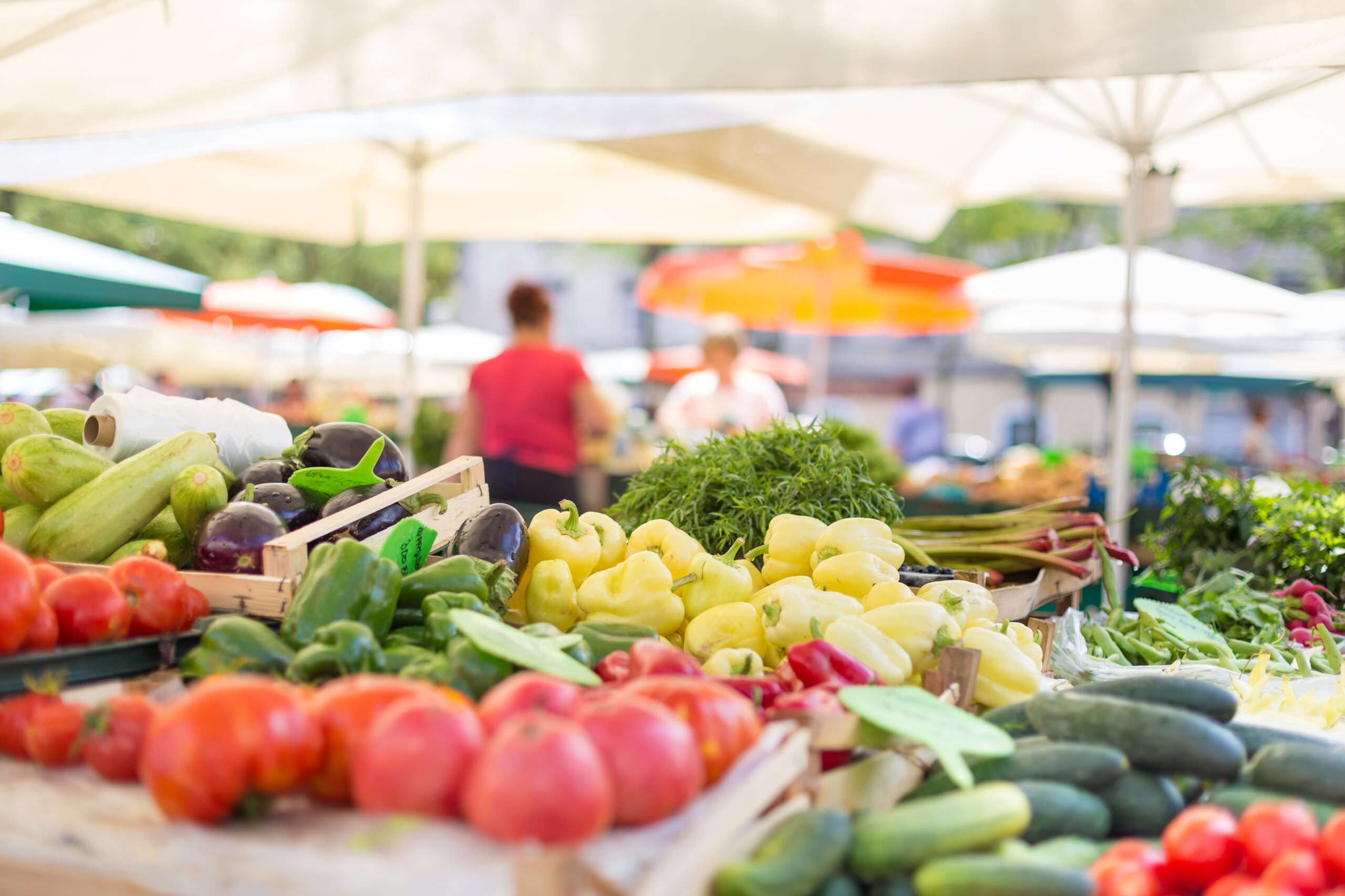Your Guide to June Produce on Cape Cod