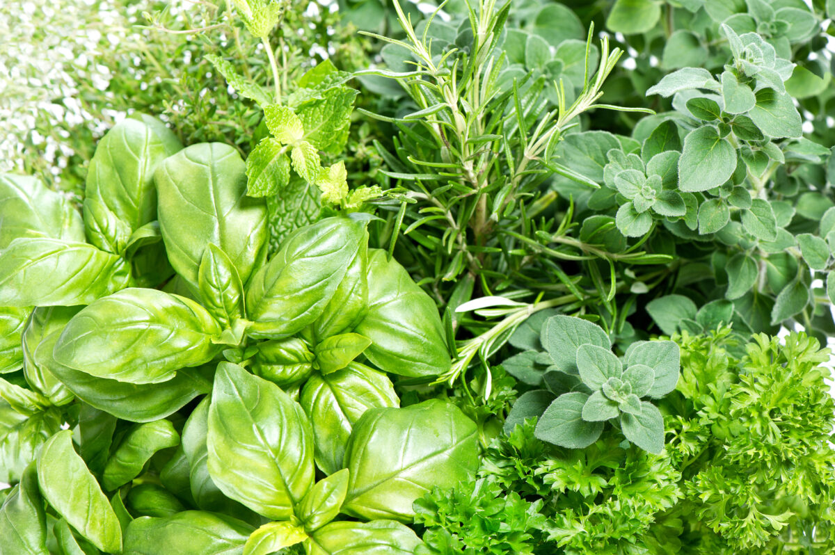 Herbs June Produce