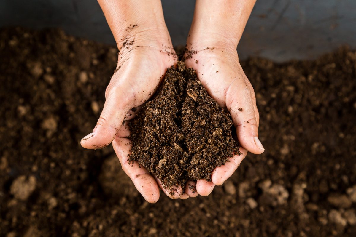 Compost & Soil