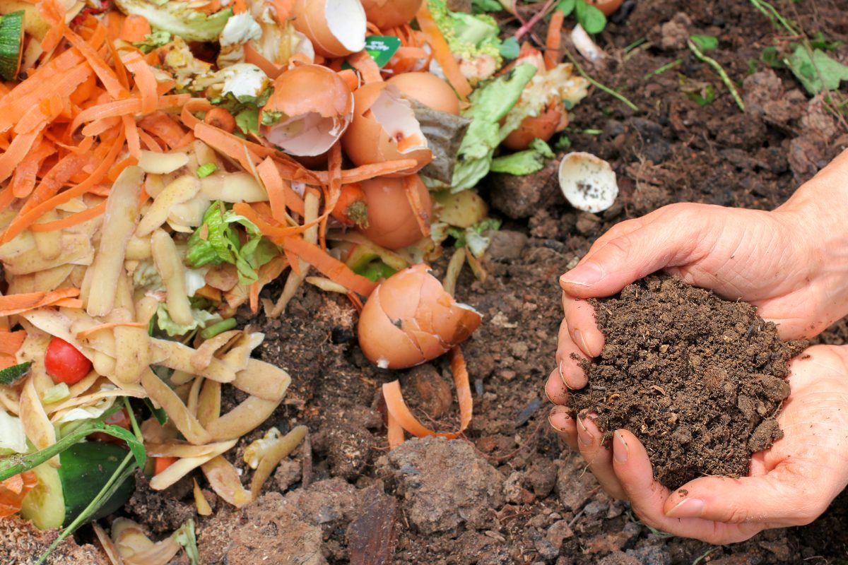 What to add to Composting Pile
