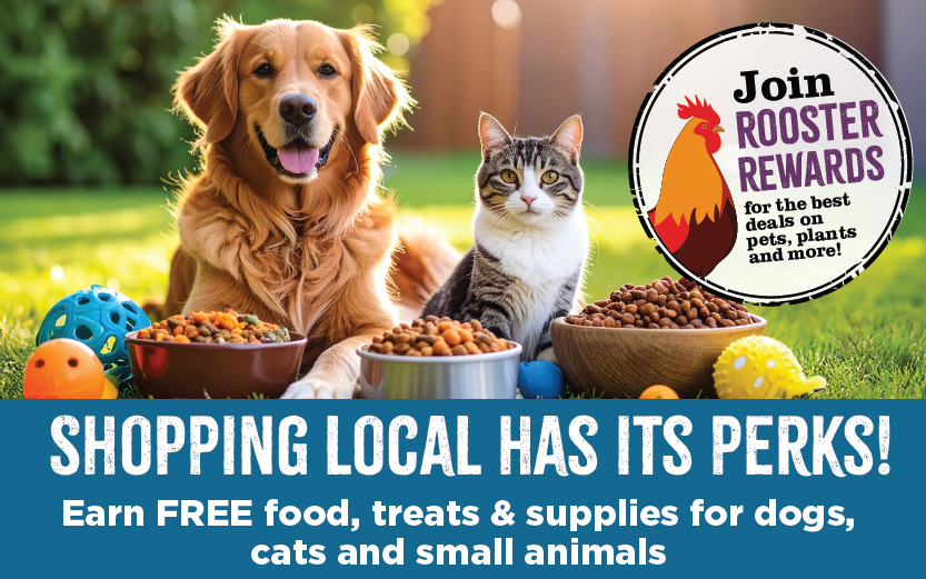 30th Anniversary Header-01