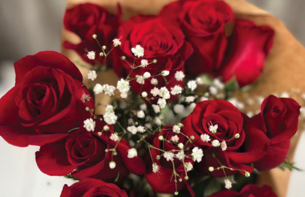 Feeding Raw for Pets