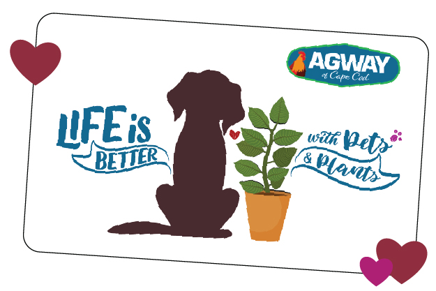 Agway Gift Card