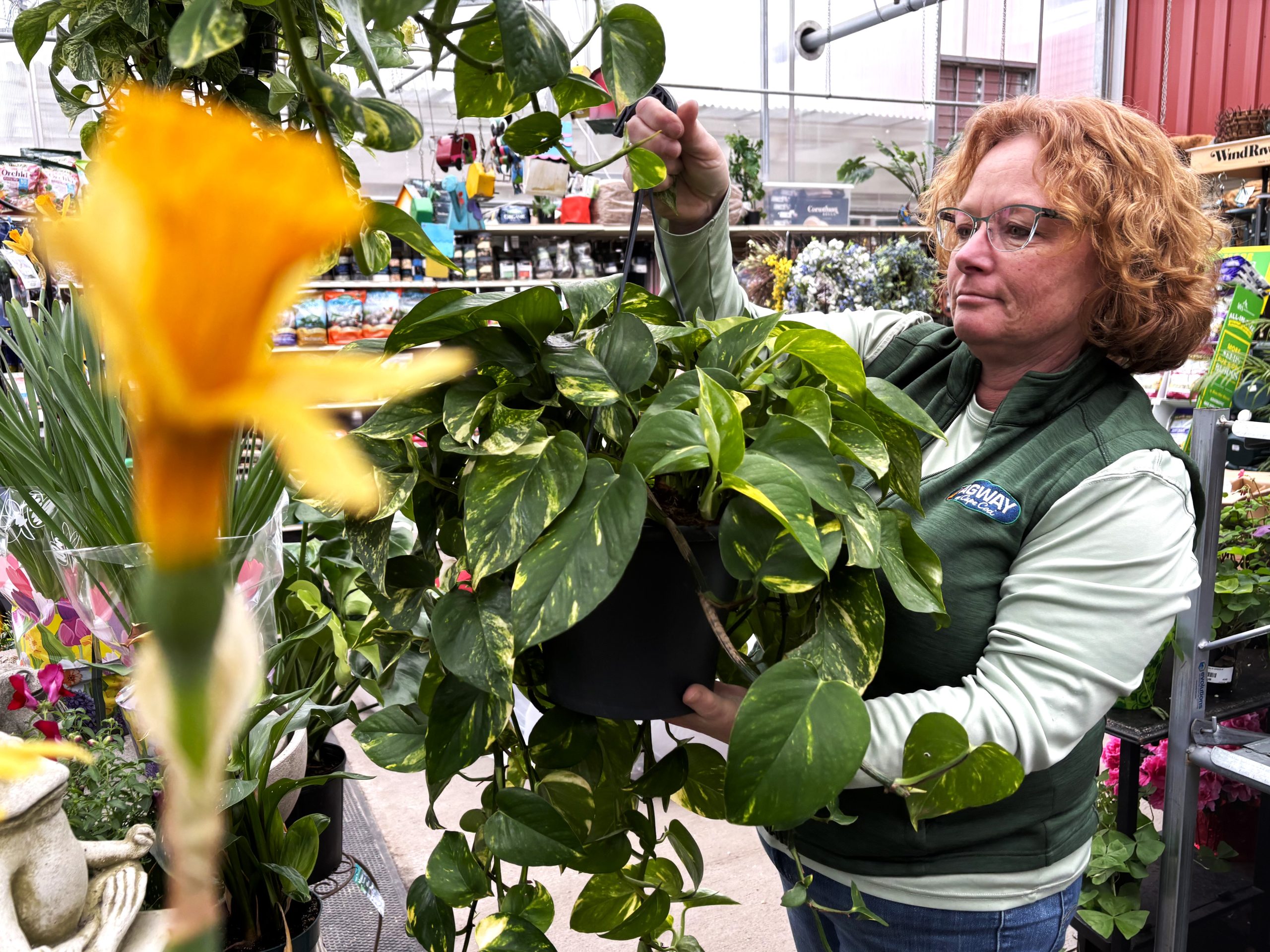 ROSE 2 agway-employee