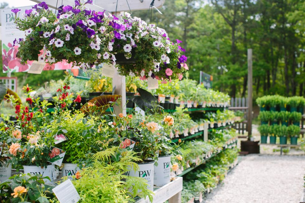 Perry Agway Homepage - Agway of Cape Cod